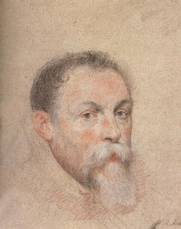 Peter Paul Rubens Portrait of Yien oil painting image